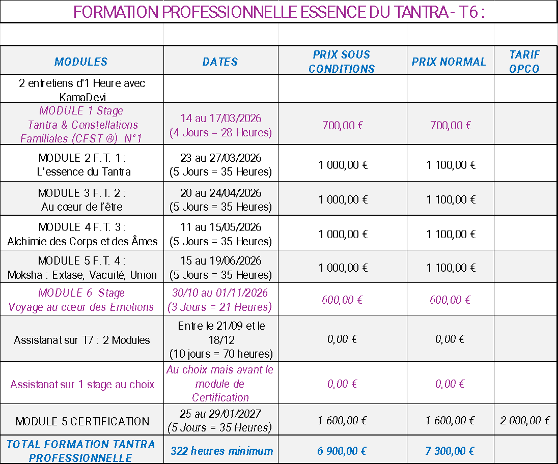 FormationProEssenceTantra-T6