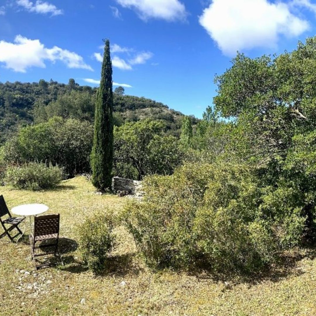 Panoramic_1